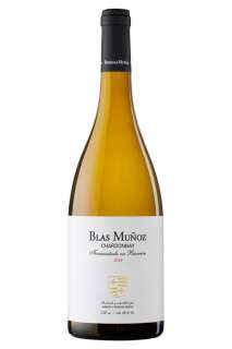 Belo vino Blas Muñoz Chardonnay