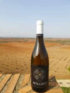 Belo vino Hacienda Molleda Blanco Joven