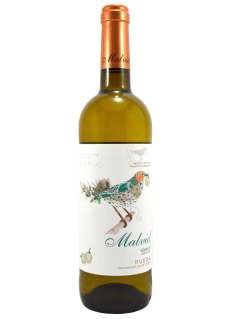 Belo vino Malvid Verdejo