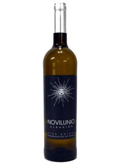 Belo vino Novilunio Albariño