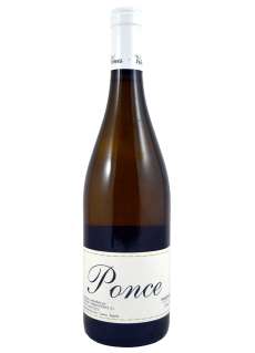 Belo vino Ponce
