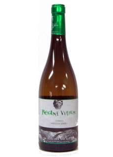 Belo vino Regina Viarum Godello