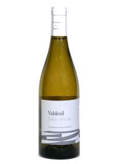 Belo vino Valdesil