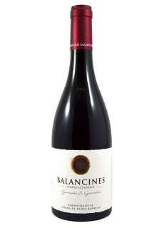 Rdeče vino Balancines Garnacha & Garnacha