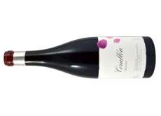 Rdeče vino Corullón