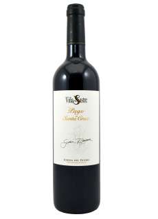 Rdeče vino Pago de Santa Cruz -