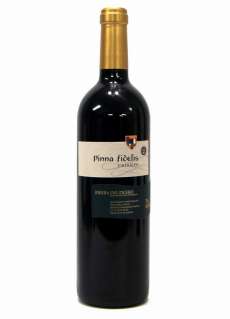 Rdeče vino Pinna Fidelis