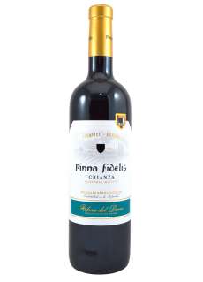 Rdeče vino Pinna Fidelis  2021 - 3 Uds.