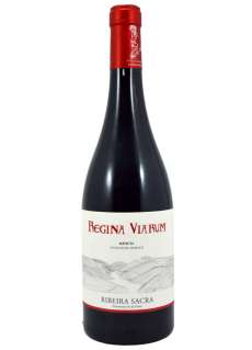 Rdeče vino Regina Viarum Mencía 2024 - 3 Uds.