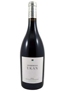 Rdeče vino Senderos de Ukan