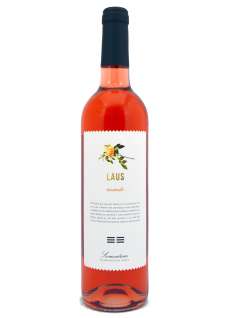 Rosé vina Laus Rosado