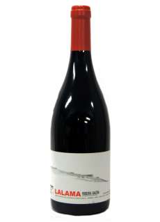 Vino Lalama